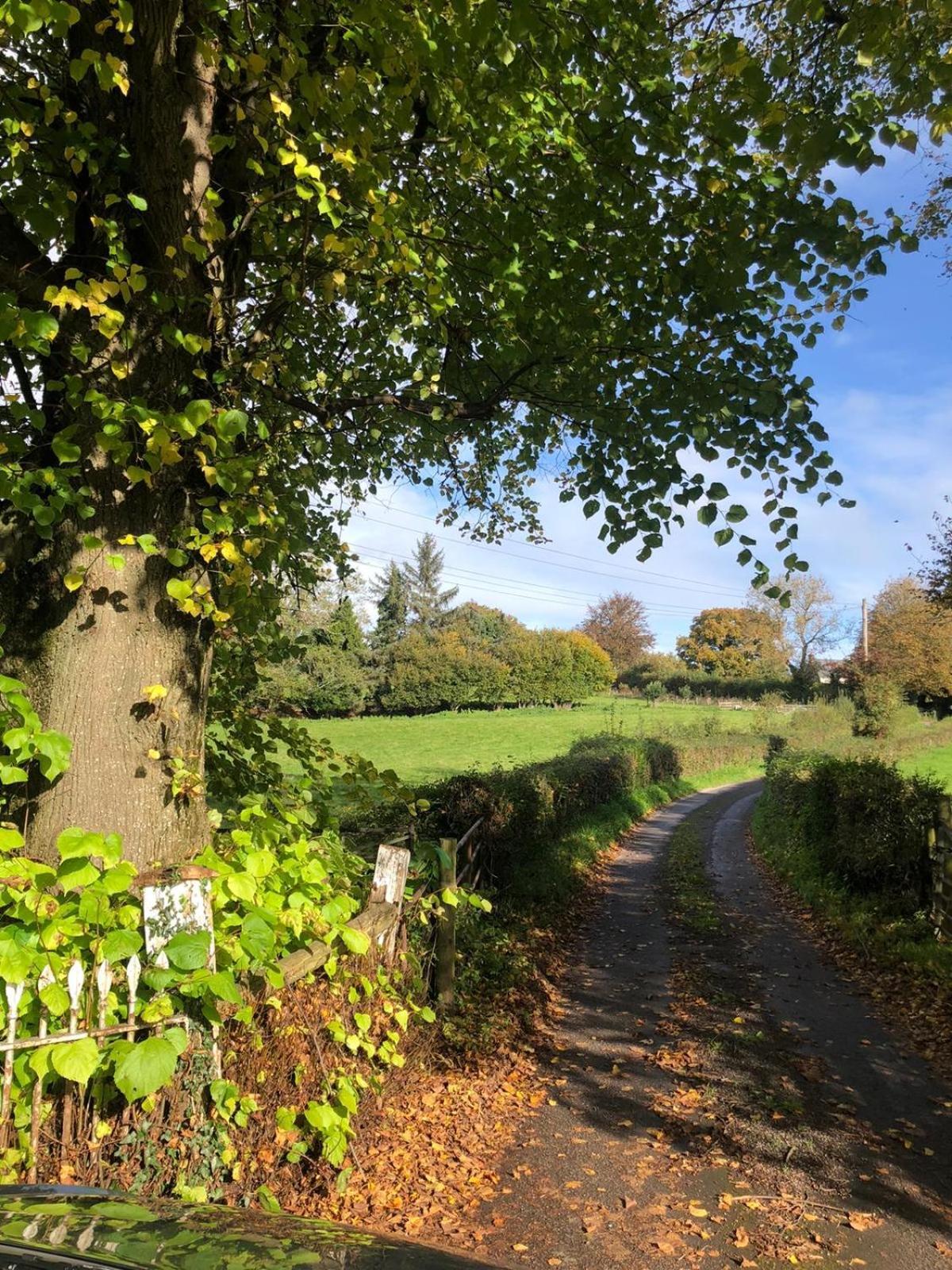 The Cottage Abergavenny Zewnętrze zdjęcie