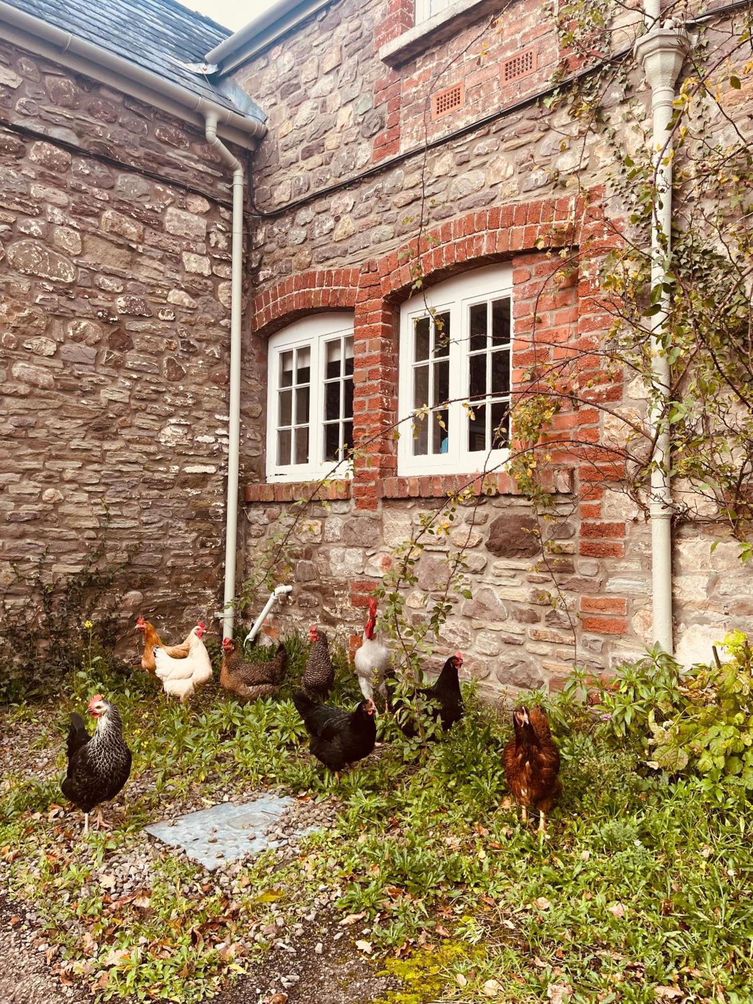 The Cottage Abergavenny Zewnętrze zdjęcie