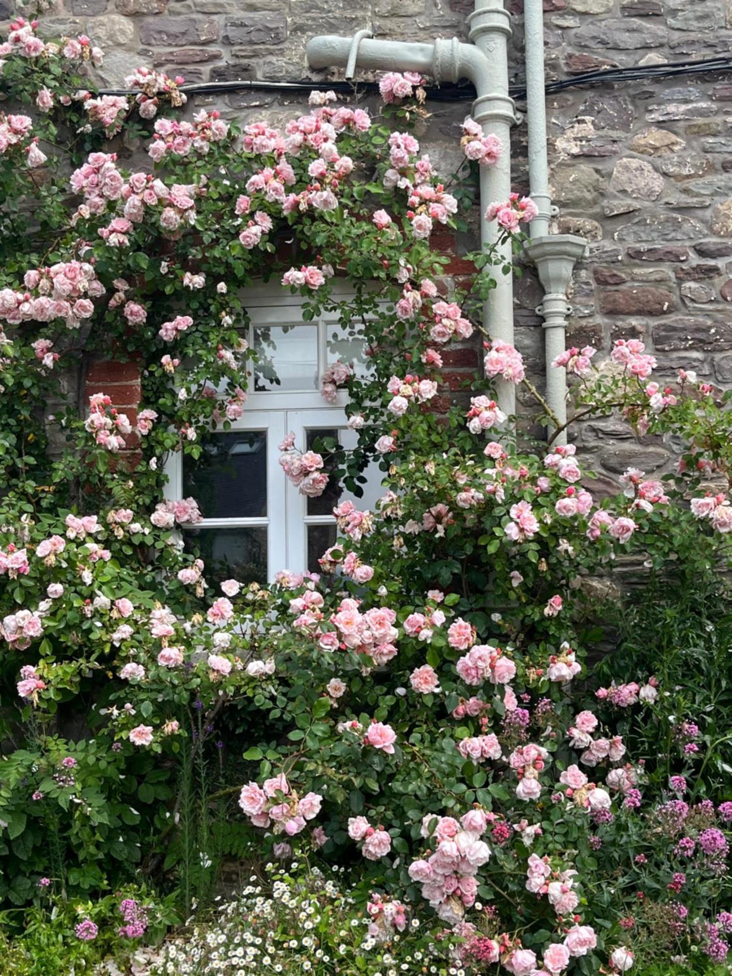 The Cottage Abergavenny Zewnętrze zdjęcie